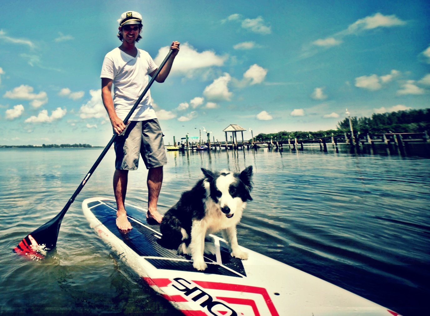 Toy trained his two dogs to paddle board with him off Gasparilla Island