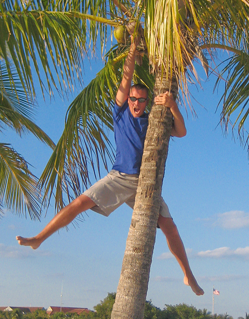 Mike Theiss climbing and hanging from Palm Trees in Florida.