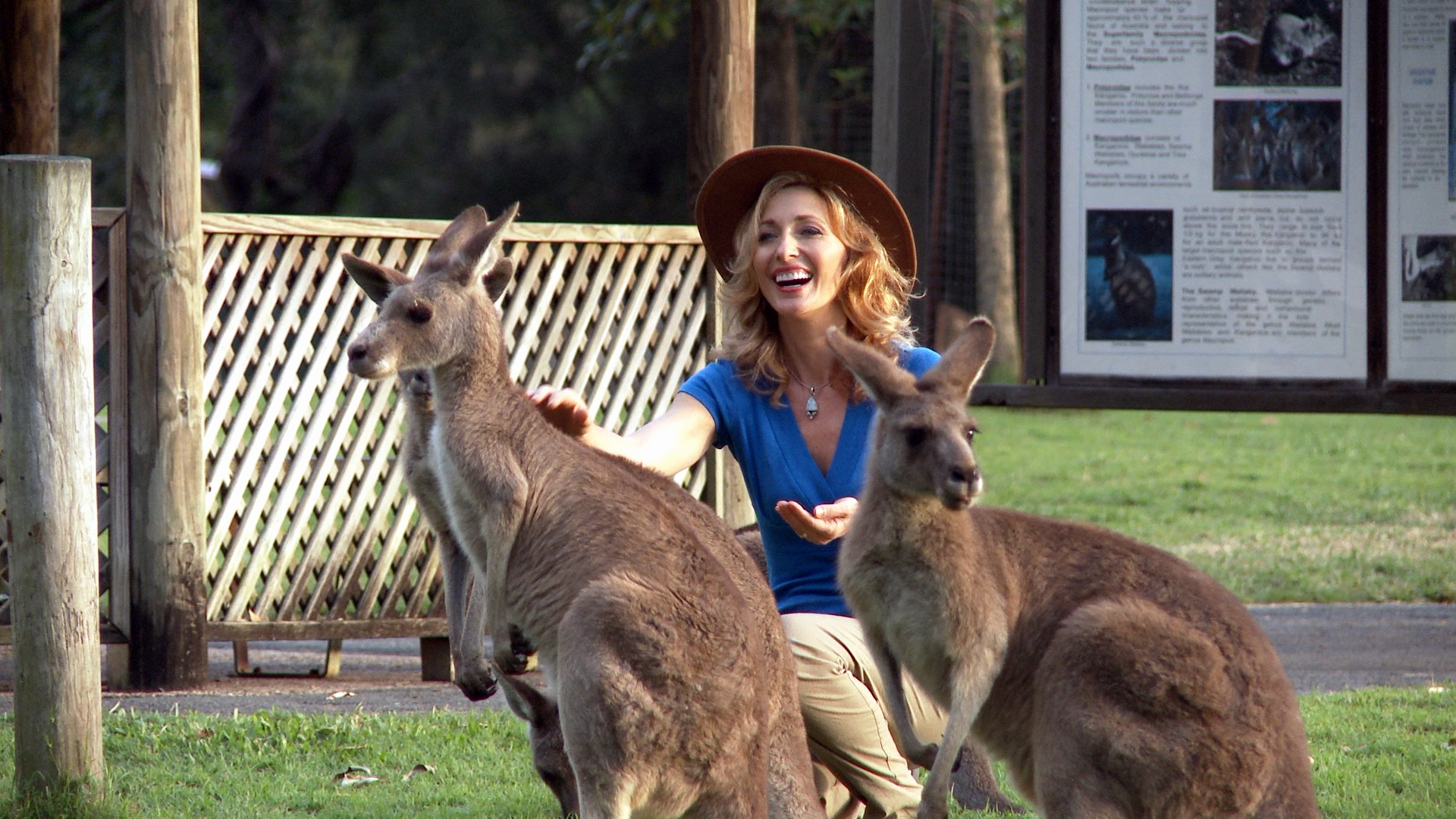 Linda Swain filming Tapping IN