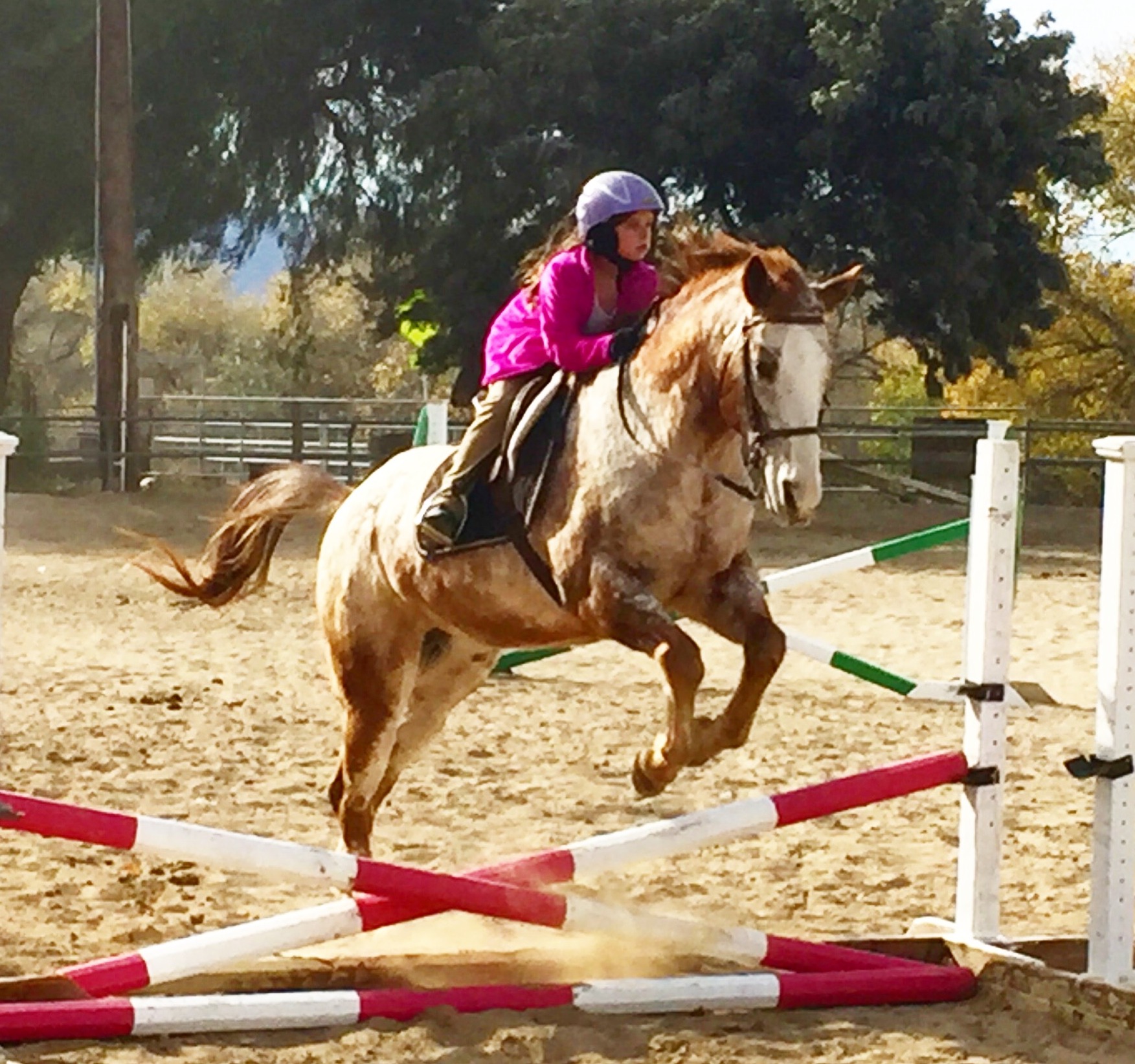 Laney Malone - Horse Jumping