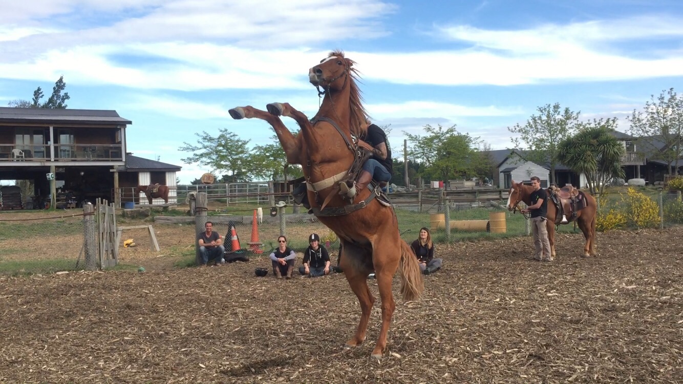 Horse Stunt Level 1