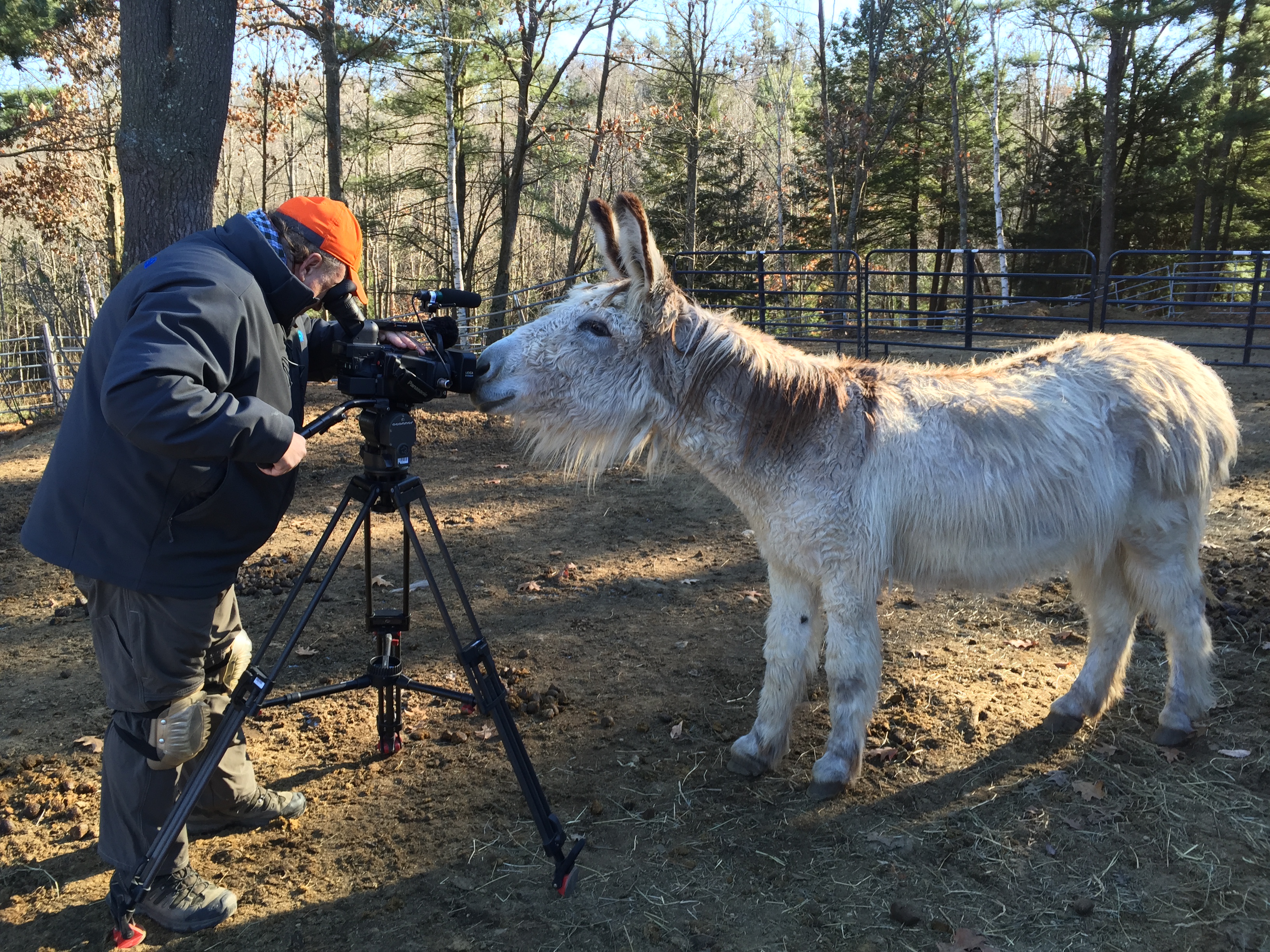 Shooting on the Villi Poni Sanctuary - Where Once They Mattered