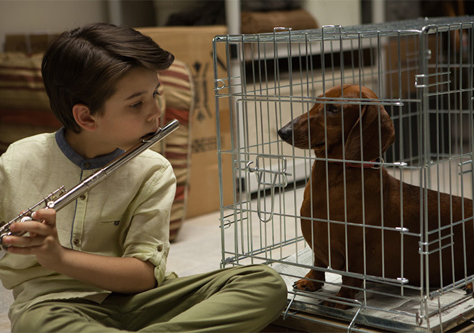 Still of Keaton Nigel Cooke in Wiener-Dog (2016)