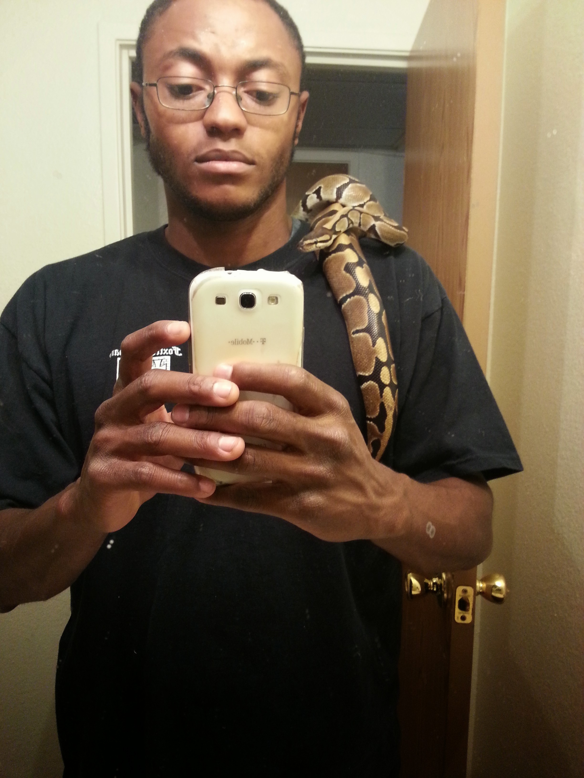 one of my snakes herman