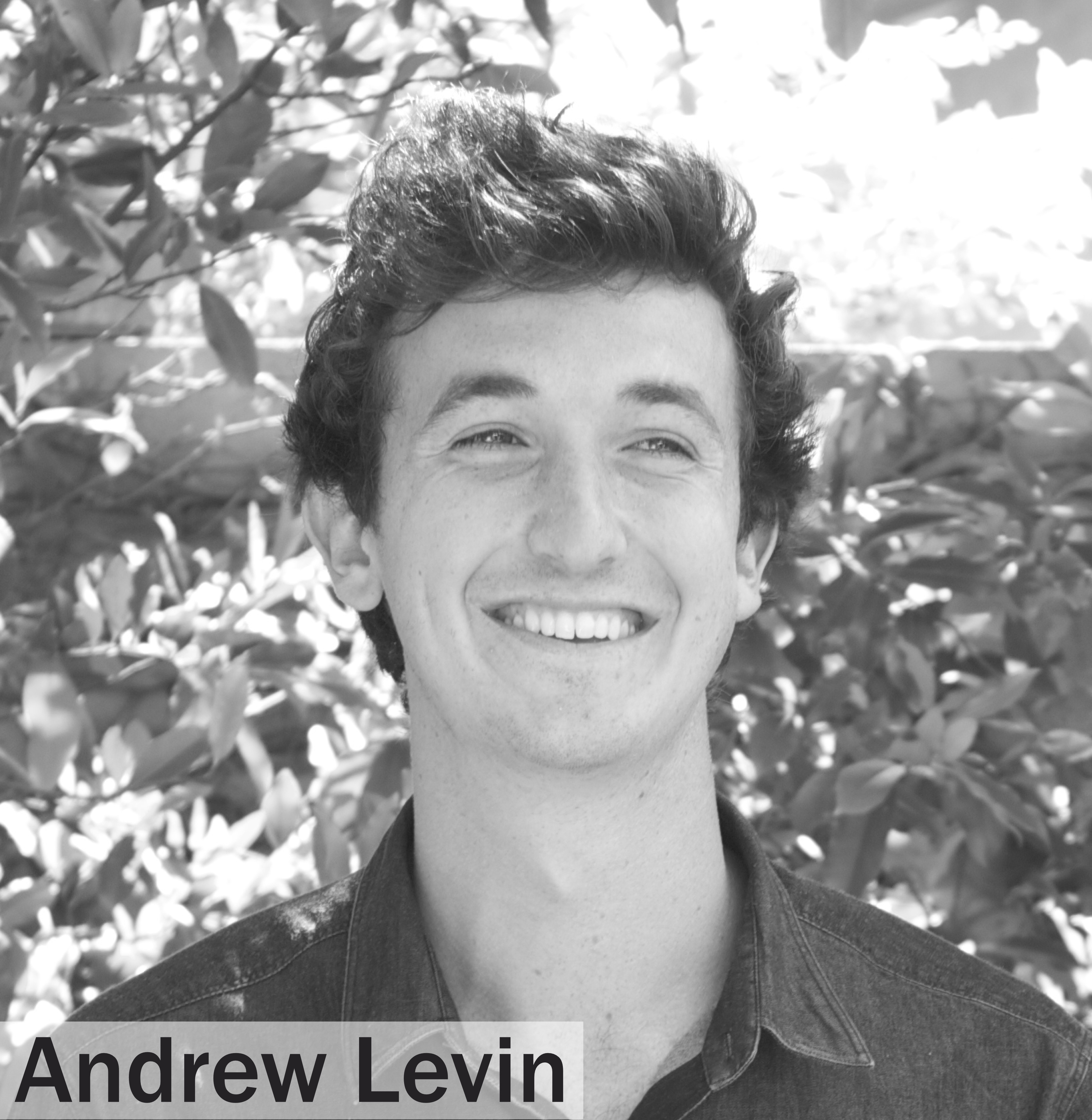 Andrew Levin