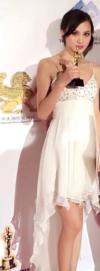 FeiFei Yao won 2014 Sino-America International TV Festival 
