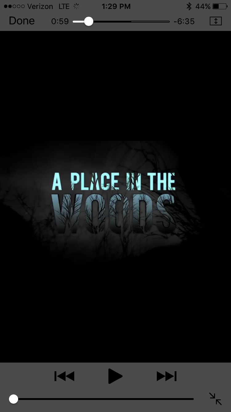 Twizted - A Place in the Woods - Majik Ninja Entertainment