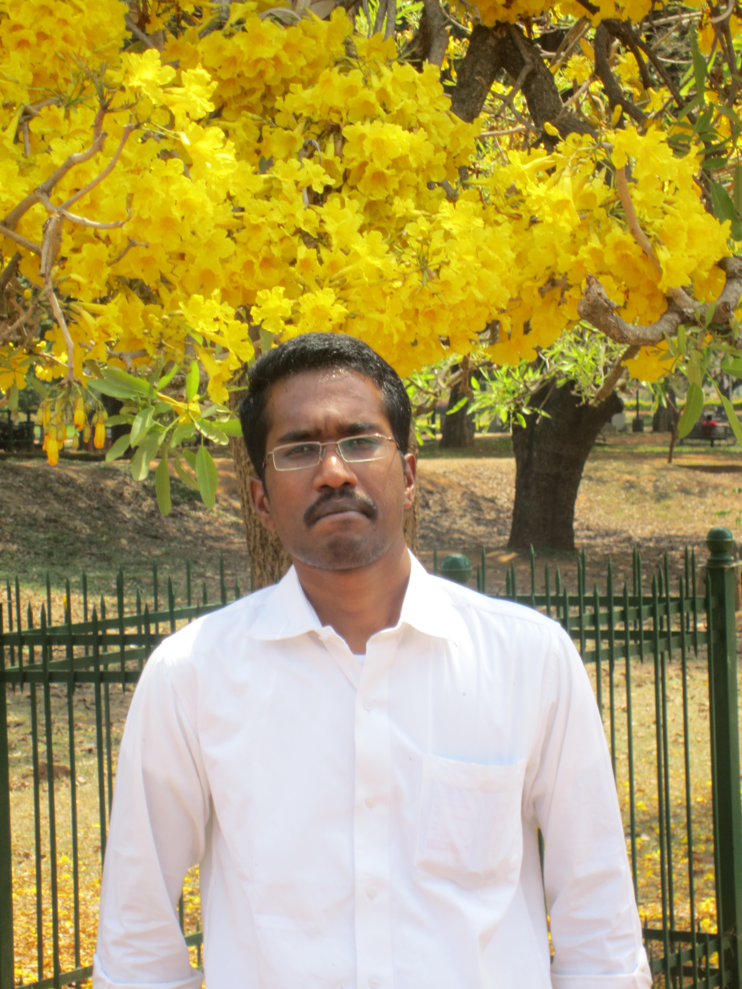 Surendran Balasubramanian