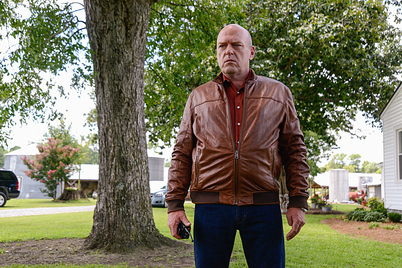 Still of Dean Norris in Under the Dome (2013)