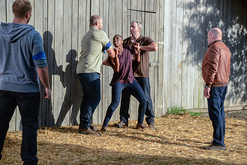 Still of Dean Norris and Aisha Hinds in Under the Dome (2013)