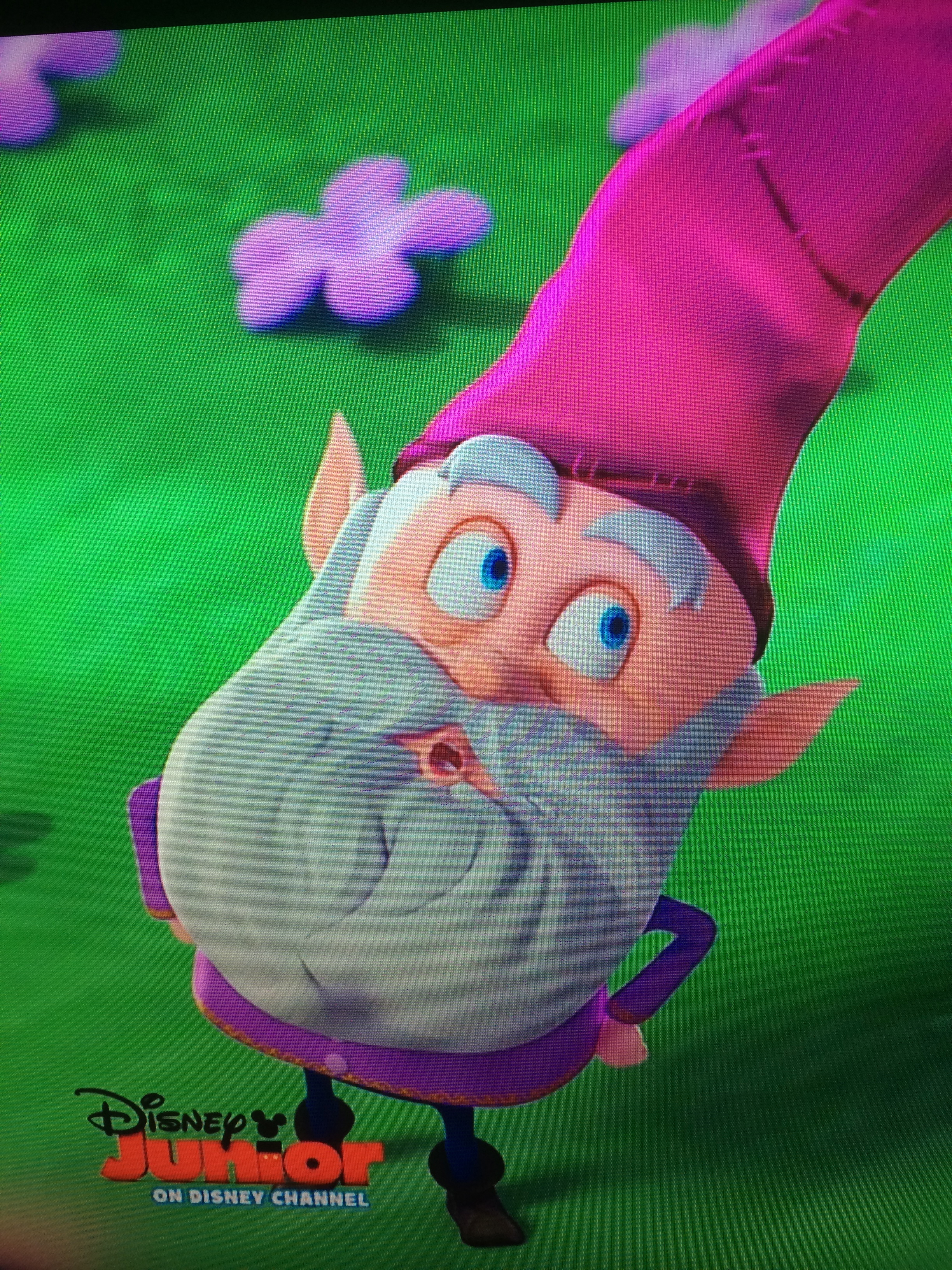 The Magic Gnome from Disney Jr's's Hit Show 'Goldie & Bear'. David voices 5 of leading secondary characters.