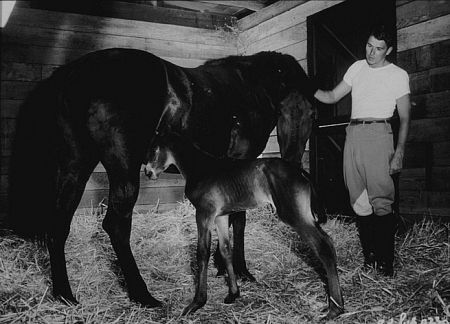 Ronald Reagan at his ranch in Northridge California C. 1948