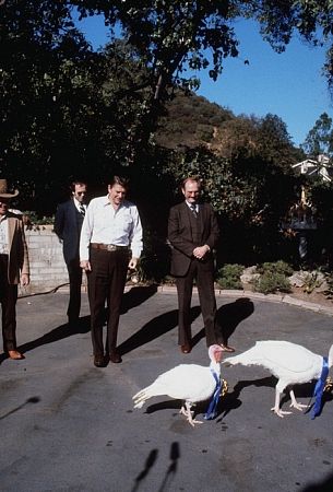 Ronald Reagan walking behind turkeys