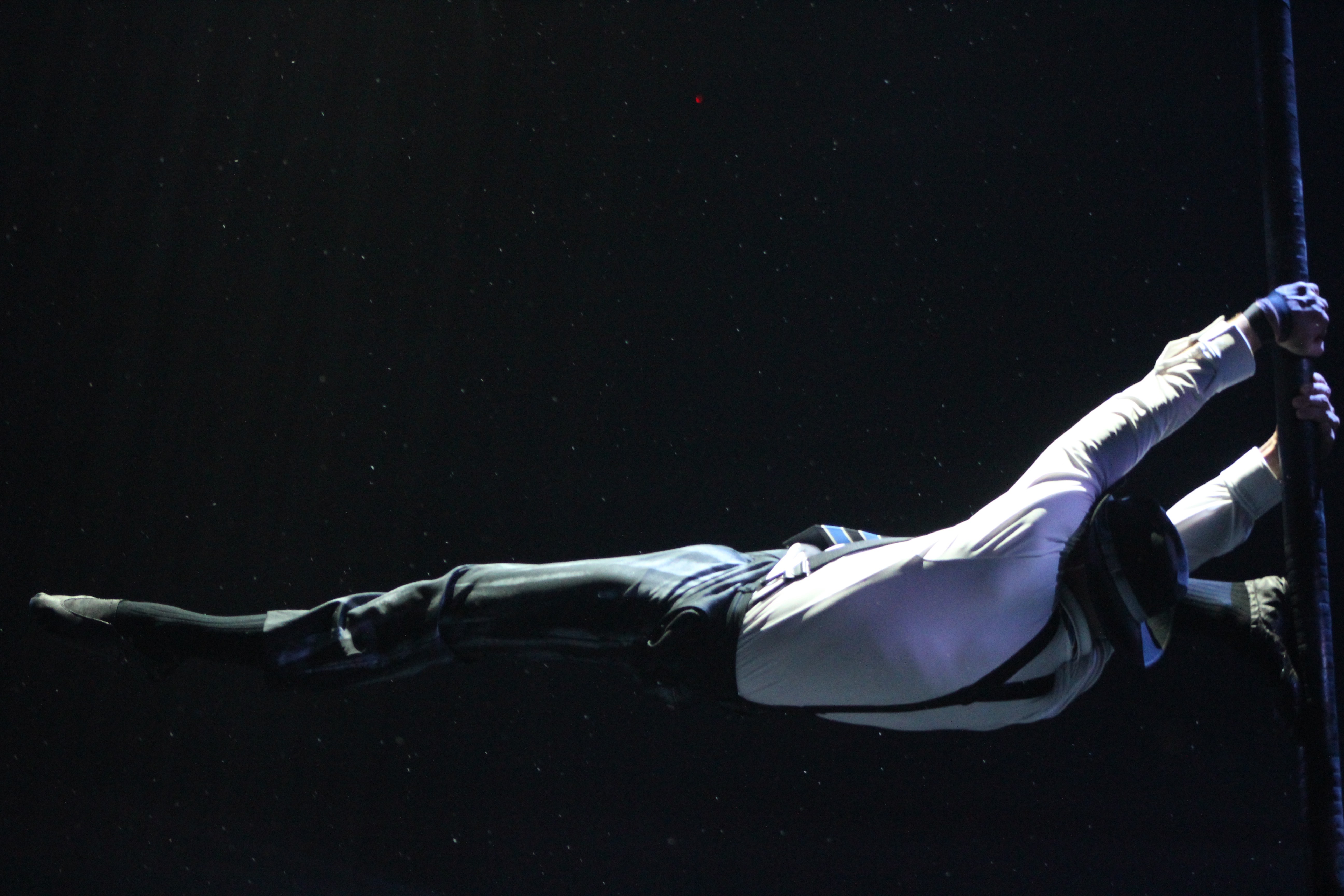 performing 'aerial pole' in the show Le Reve at Wynn Las Vegas