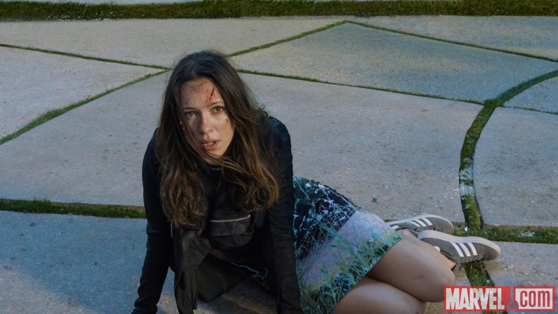 Still of Rebecca Hall in Gelezinis zmogus 3 (2013)