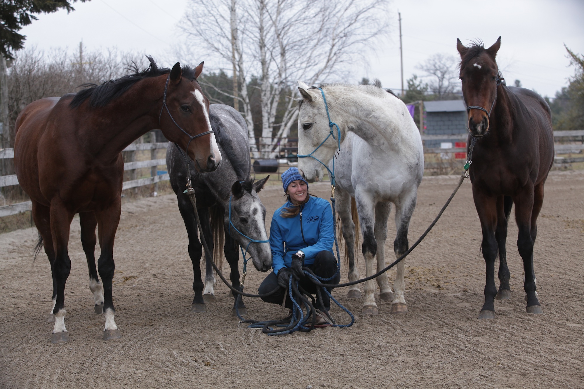 Lindsey with her Thoroughbreds for the 2016 Thoroughbred Makeover and her 2015 winner.