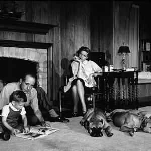 Humphrey Bogart Lauren Bacall and their son Stephen at their Beverly Hills home with their pet boxers 1952 Modern silver gelatin 11x14 signed  1978 Sid Avery MPTV