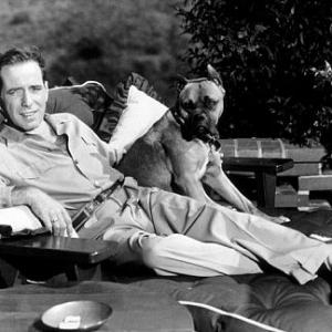 With his pet boxer, Harvey, at his Benedict Canyon home, CA, 1948.
