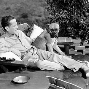 With his pet boxer Harvey at his Benedict Canyon home CA 1948