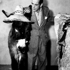 The Treasure of the Sierra Madre 1948 Warner Bros