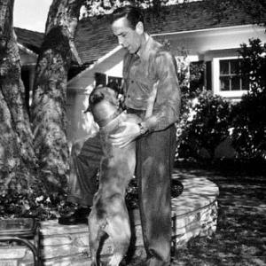 At home with his boxer circa 1947