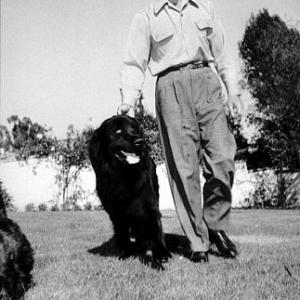 With his black Newfoundland dog Cappy at home circa 1944