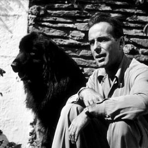 With his dog, circa 1944.