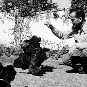 With his dogs, circa 1944.