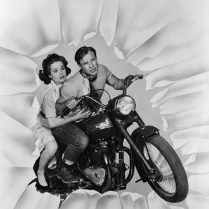 The Wild One Mary Murphy Marlon Brando 1953 Columbia Pictures