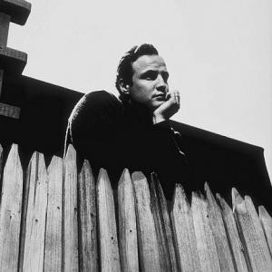 Marlon Brando in the backyard of his Beverly Glen home, Los Angeles