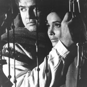 Still of Marlon Brando and Anjanette Comer in The Appaloosa (1966)