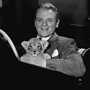 James Cagney Cagneys brother brought his pet lion for a visit on the set of Come Fill The Cup 1951 Warner