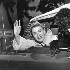 Doris Day With Smudgepot 1955