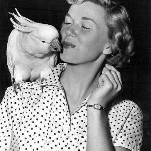 Doris Day On the Set of Young Man With a Horn With Louise a cockatoo 1950