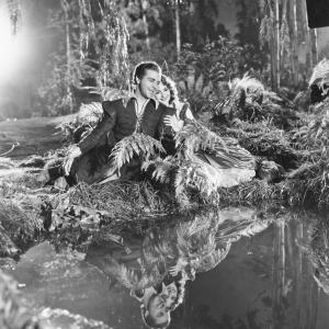 Still of Olivia de Havilland and Dick Powell in A Midsummer Night's Dream (1935)