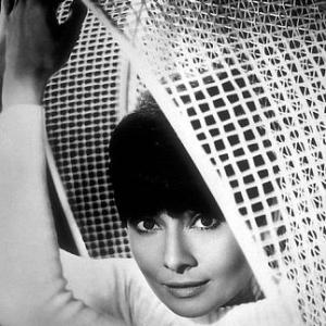 331139 Audrey Hepburn C 1966