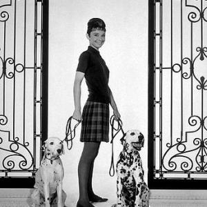 33-2306 Audrey Hepburn