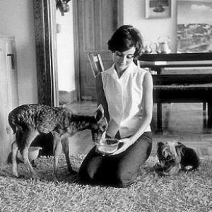 33-2315 Audrey Hepburn at home in Beverly Hills with pets 'IP' and 'Famous'