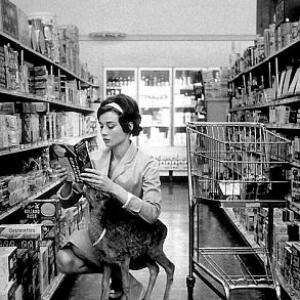 332316 Audrey Hepburn shopping in Beverly Hills with IP