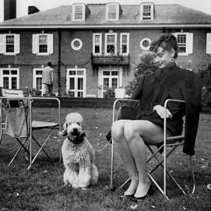 Audrey Hepburn SABRINA Paramount Pictures 1954IV