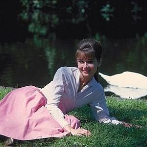 573453 Paris When It Sizzles Audrey Hepburn 1963 Paramount