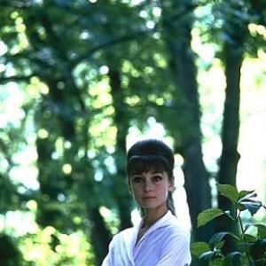 573452 Paris When It Sizzles Audrey Hepburn 1963 Paramount