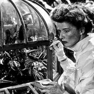 37566 Katharine Hepburn in Suddenly Last Summer 1959 Columbia
