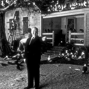 The Birds Alfred Hitchcock 1963 Universal