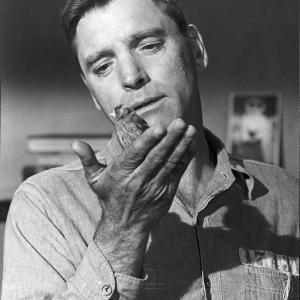 Still of Burt Lancaster in Birdman of Alcatraz 1962