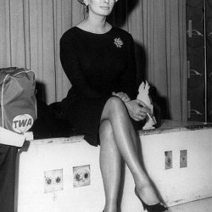 Sophia Loren at New Yorks Idlewild Airport on route to the 1963 Academy Award ceremonies