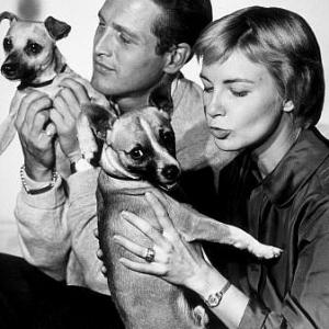 Paul Newman  Joanne Woodward c 1960