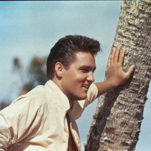 Still of Elvis Presley in Follow That Dream 1962