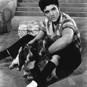 JAILHOUSE ROCK Elvis Presley MGM 1957 IV