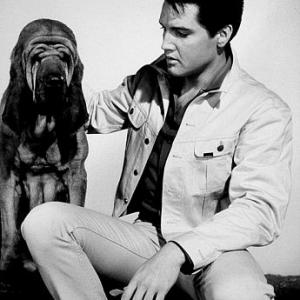 Elvis Presley in a publicity still for Kissin Cousins MGM 1963